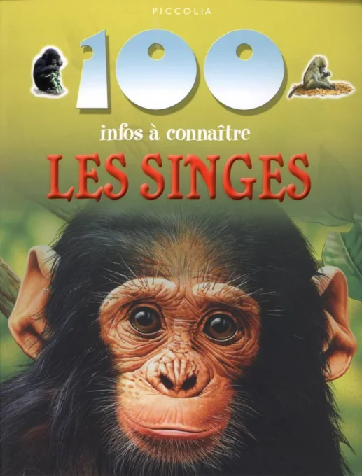 100 infos à connaître les singes