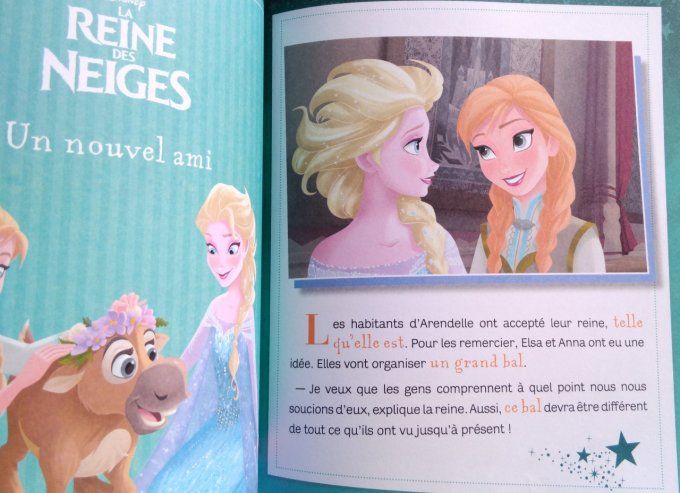 30 histoires pour le soir la reine des neiges