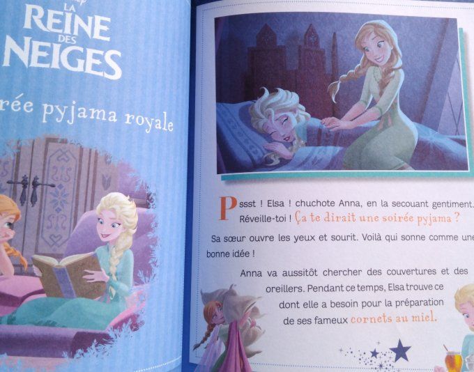 30 histoires pour le soir la reine des neiges