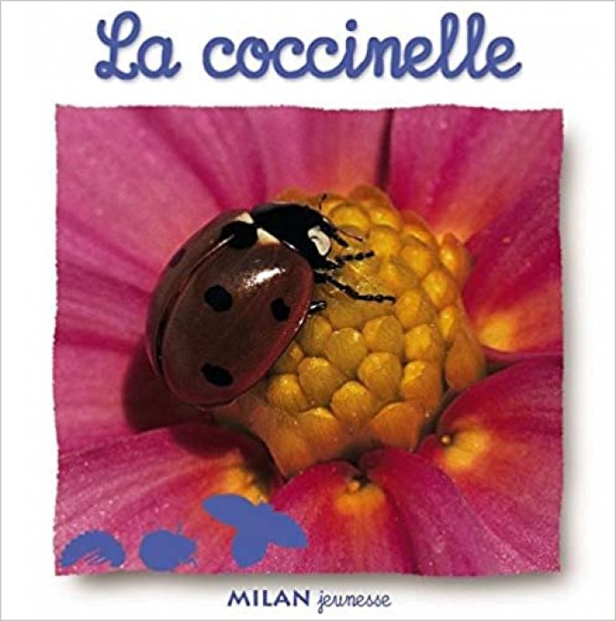 La coccinelle 