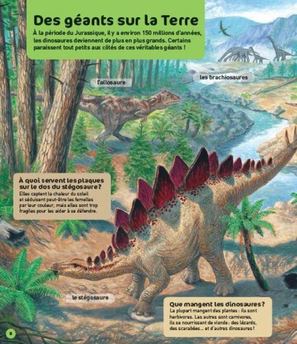 Questions/réponses au temps des dinosaures