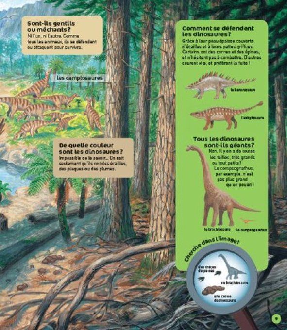 Questions/réponses au temps des dinosaures