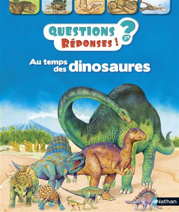 Questions/réponses au temps des dinosaures