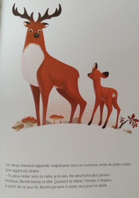 Bambi, une vie dans les bois