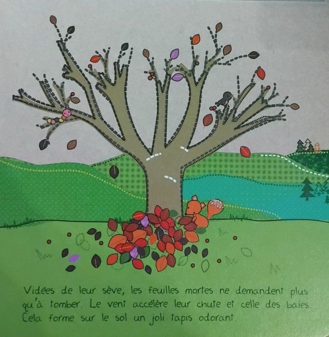 Cher arbre, graine d'écolo