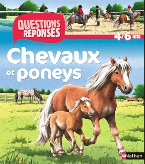 Chevaux et poneys questions/réponses