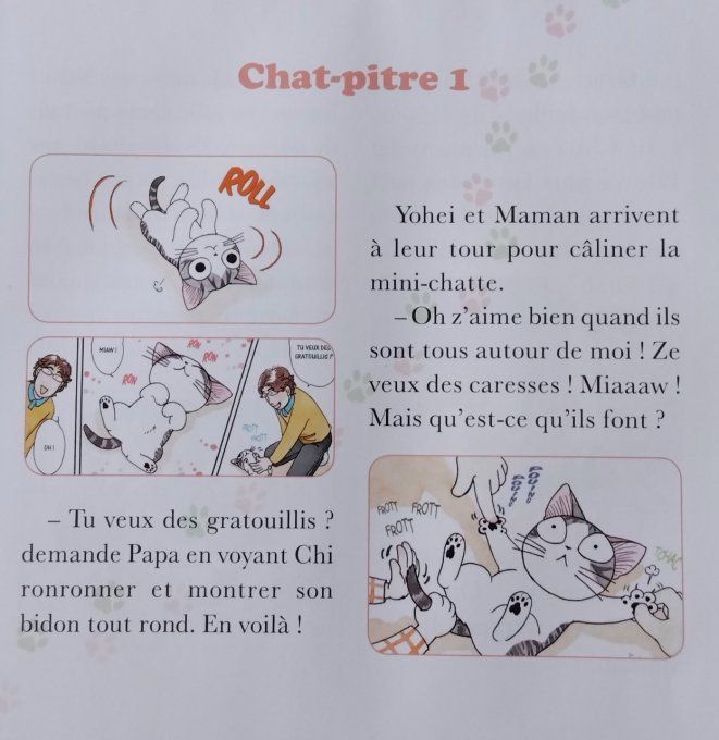 Chi une vie de chat tome 2