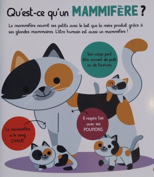 Mon encyclopetit des animaux