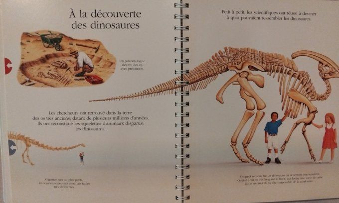 Explore les dinosaures