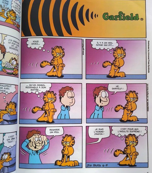 Garfield au travail ! tome 48