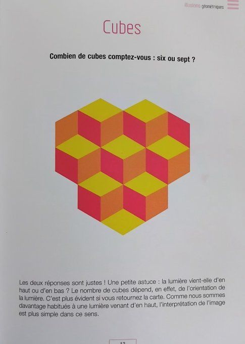 100 illusions d'optique