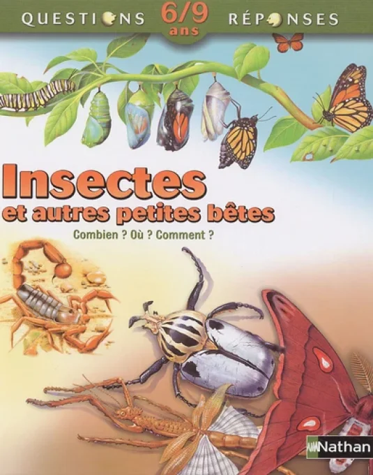 Questions/réponses insectes et autres petites bêtes