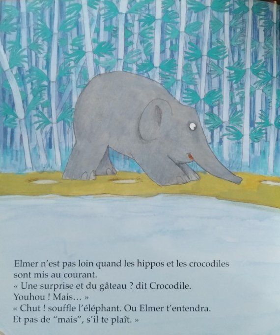 L'anniversaire d'Elmer