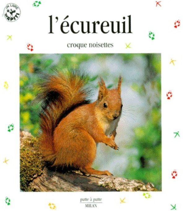 L'écureuil, croque noisettes