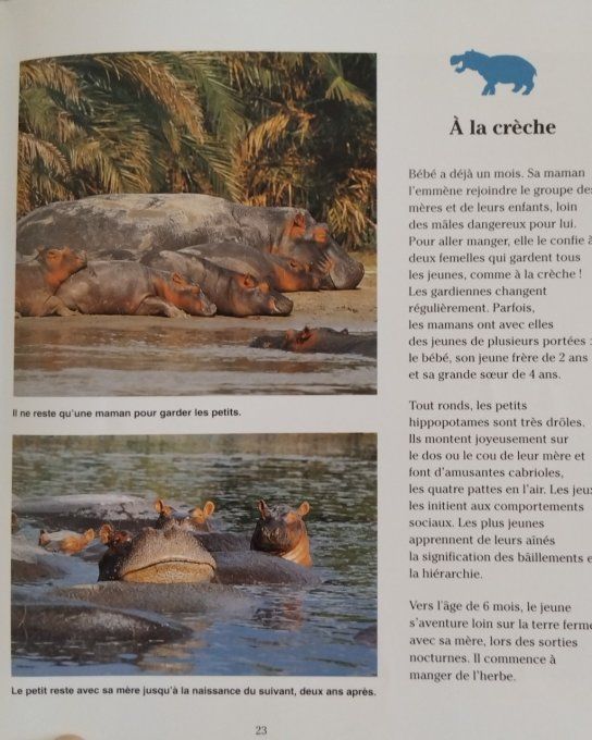 l'hippopotame drôle de sous-marin