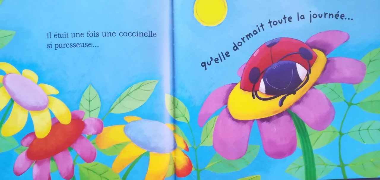 La coccinelle qui ne voulait pas voler