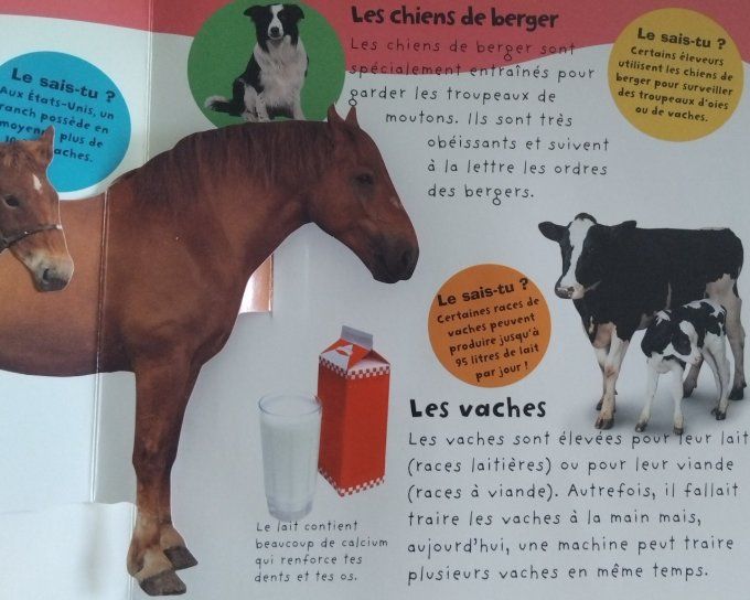 La ferme, pop-up