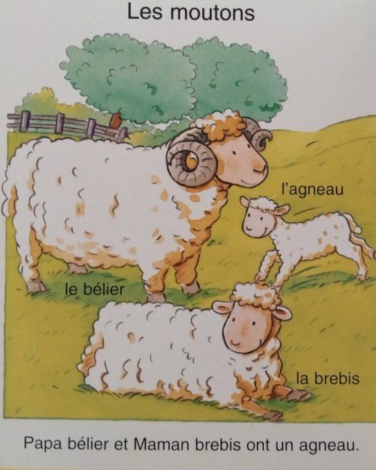 L'imagerie des tout-petits la ferme