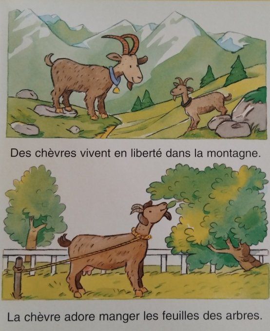 L'imagerie des tout-petits la ferme