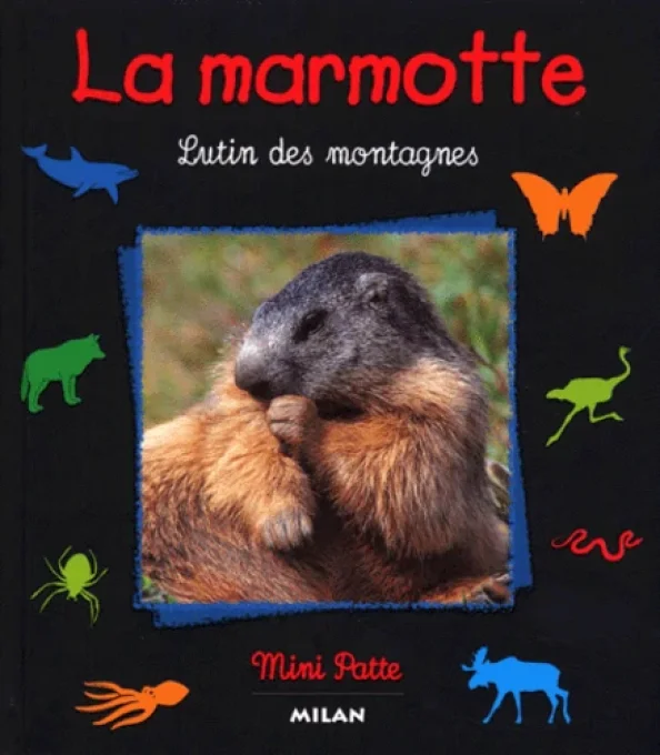 La marmotte lutin des montagnes