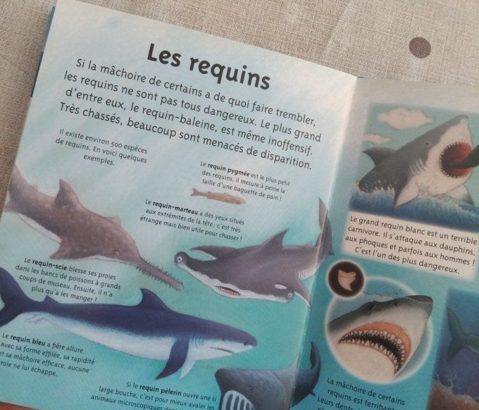 La petite imagerie, les animaux de la mer