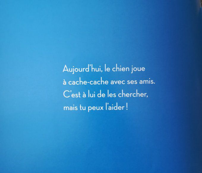 Le cache-cache des animaux