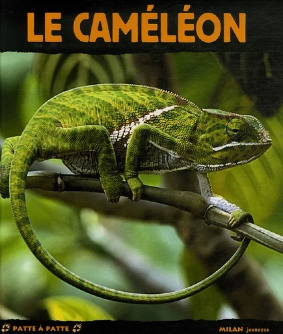 Le caméleon