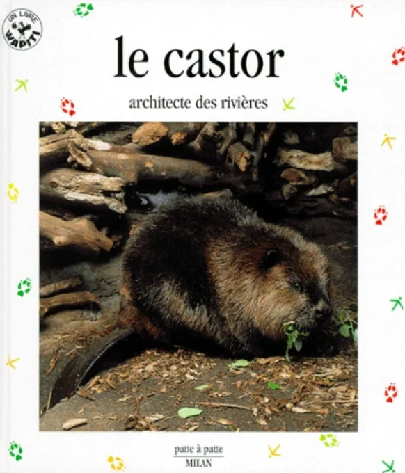 Le castor architecte des rivières