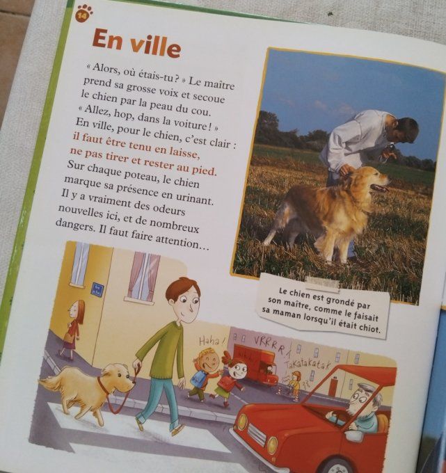 Le chien joyeux copain