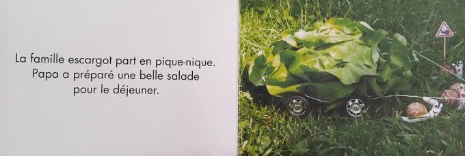 Le déjeuner sur l'herbe