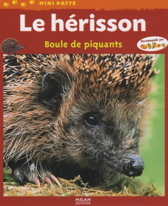 Le hérisson, boule de piquants