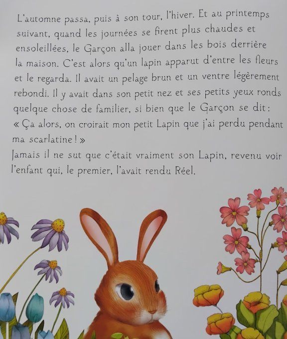 Le lapin de velours