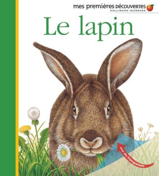 Le lapin mes premières découvertes