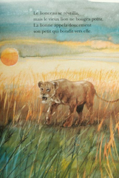 Le lion des hautes herbes