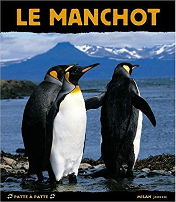 Le manchot