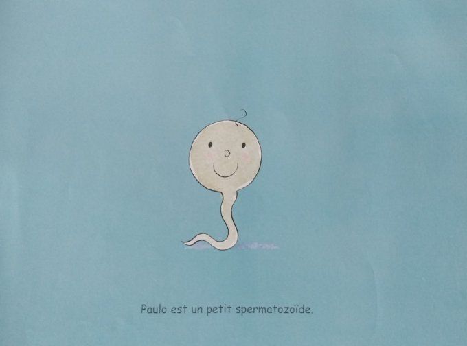 Le parcours de Paulo, la grande histoire d'un petit spermatozoïde