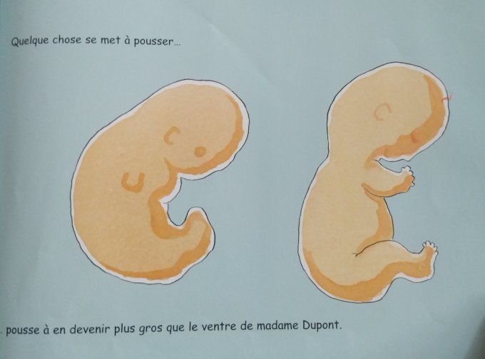 Le parcours de Paulo, la grande histoire d'un petit spermatozoïde