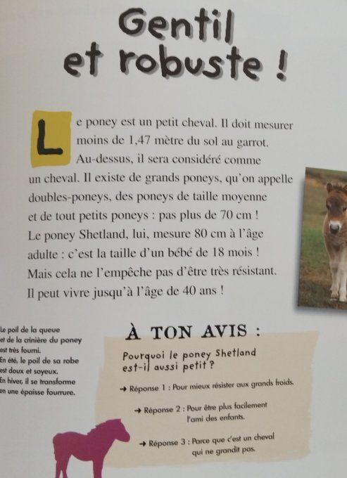 Qui es-tu ? Le petit poney