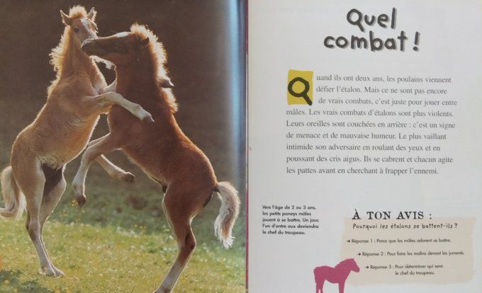 Qui es-tu ? Le petit poney