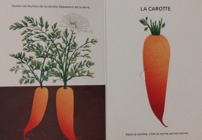 Légumes de saison