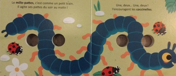 Les bébêtes dans l'herbe