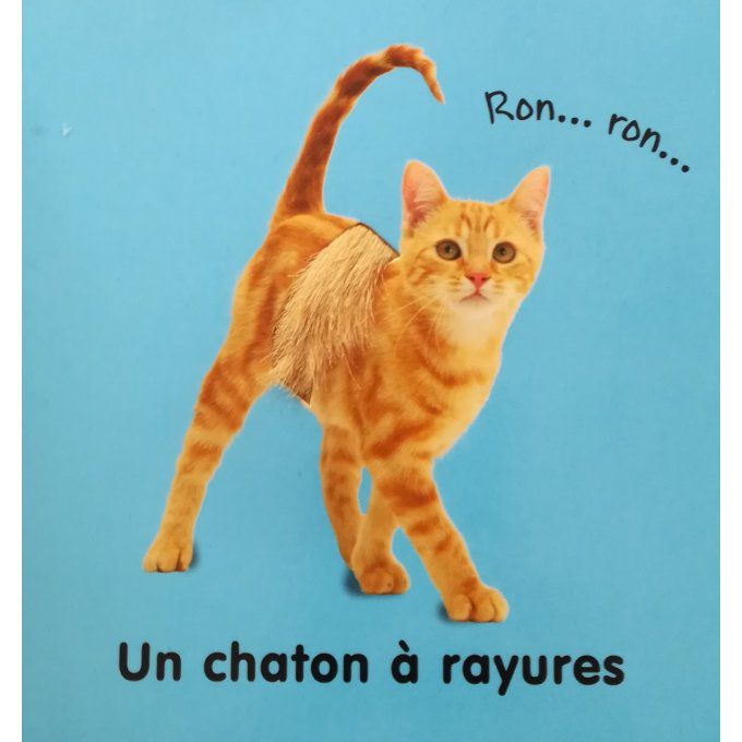 Les chatons