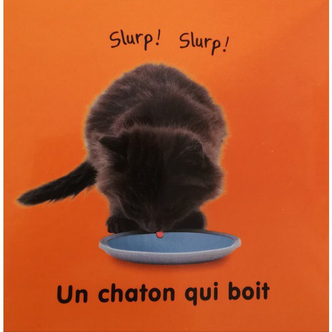 Les chatons