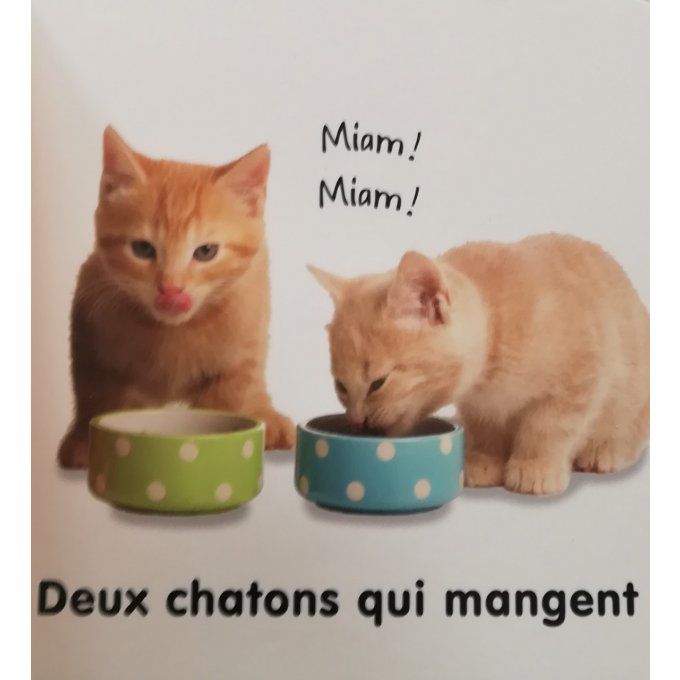 Les chatons