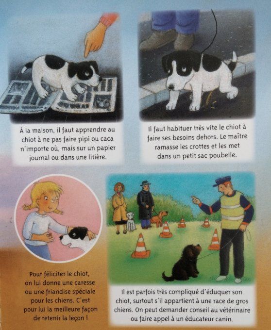 La petite imagerie, les chiens