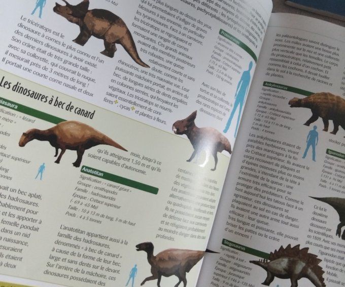 Les dinosaures, l'atlas des juniors