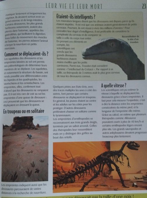 Les dinosaures, l'atlas des juniors