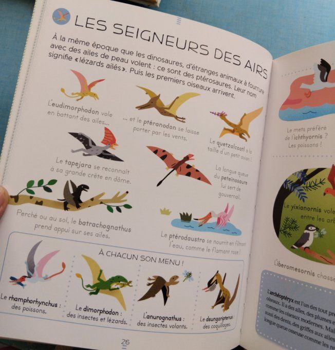 Encyclopédie des petits les dinosaures