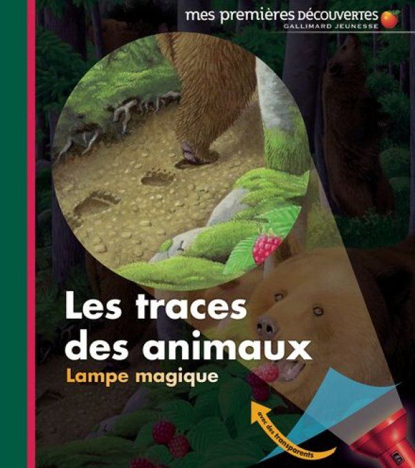 Les traces des animaux