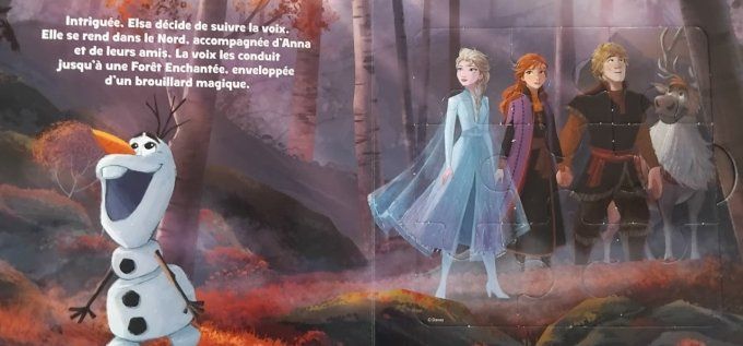 La reine des neiges, 5 puzzles